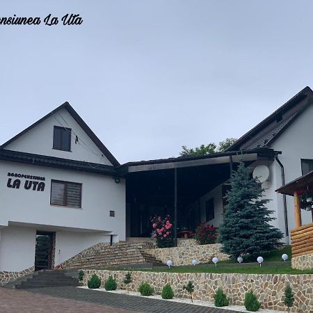 Agropensiunea La Uta Rebrisoara Zewnętrze zdjęcie