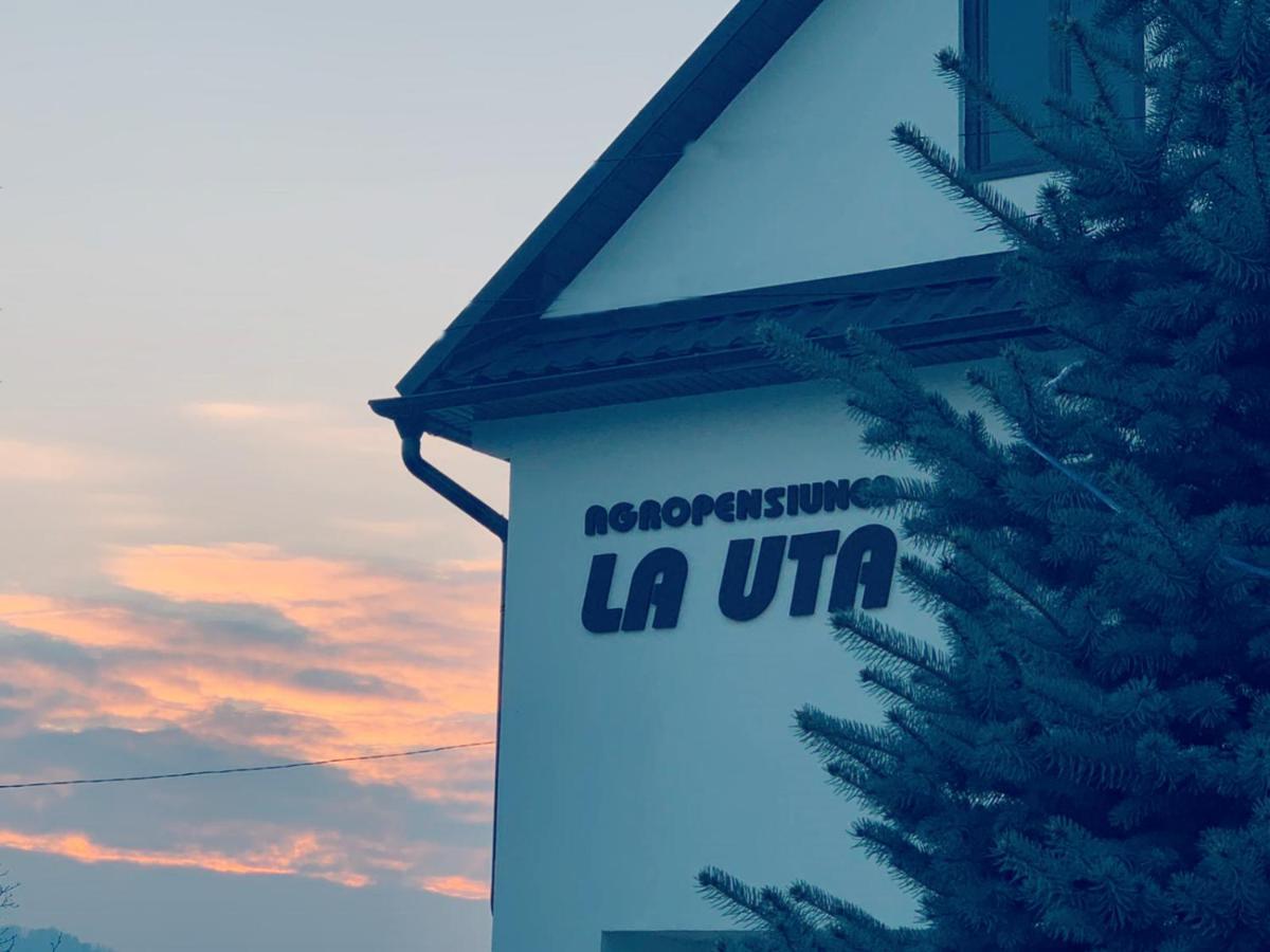 Agropensiunea La Uta Rebrisoara Zewnętrze zdjęcie