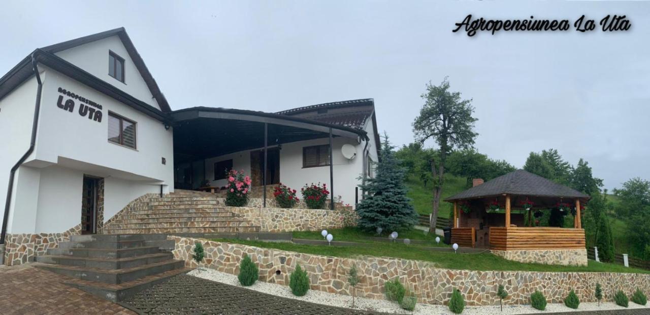 Agropensiunea La Uta Rebrisoara Zewnętrze zdjęcie